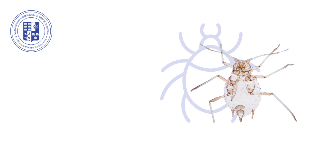 ილიაუნის პროფესორმა შალვა ბარჯაძემ ბუგრის ახალი სახეობა აღწერა