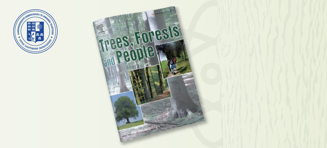 ილიაუნის მკვლევართა სტატია „კავკასიის ტყის ზედა საზღვრის არყნების (Betula spp.) ეკოლოგიური ნიშის დინამიკა პლეისტოცენის, ჰოლოცენისა და კლიმატის მომავალი ცვლილებების პირობებში“ საერთაშორისო ჟურნალში Trees, Forests and Peopl