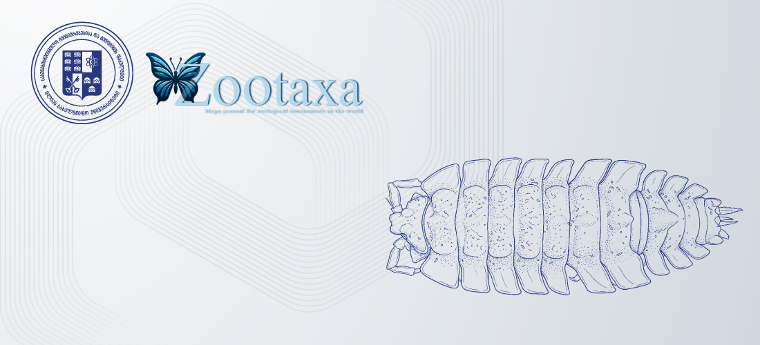 ილიაუნის მკვლევრებმა ტროგლობიონტი ტოლფეხიანების ახალი გვარი და სახეობები აღწერეს