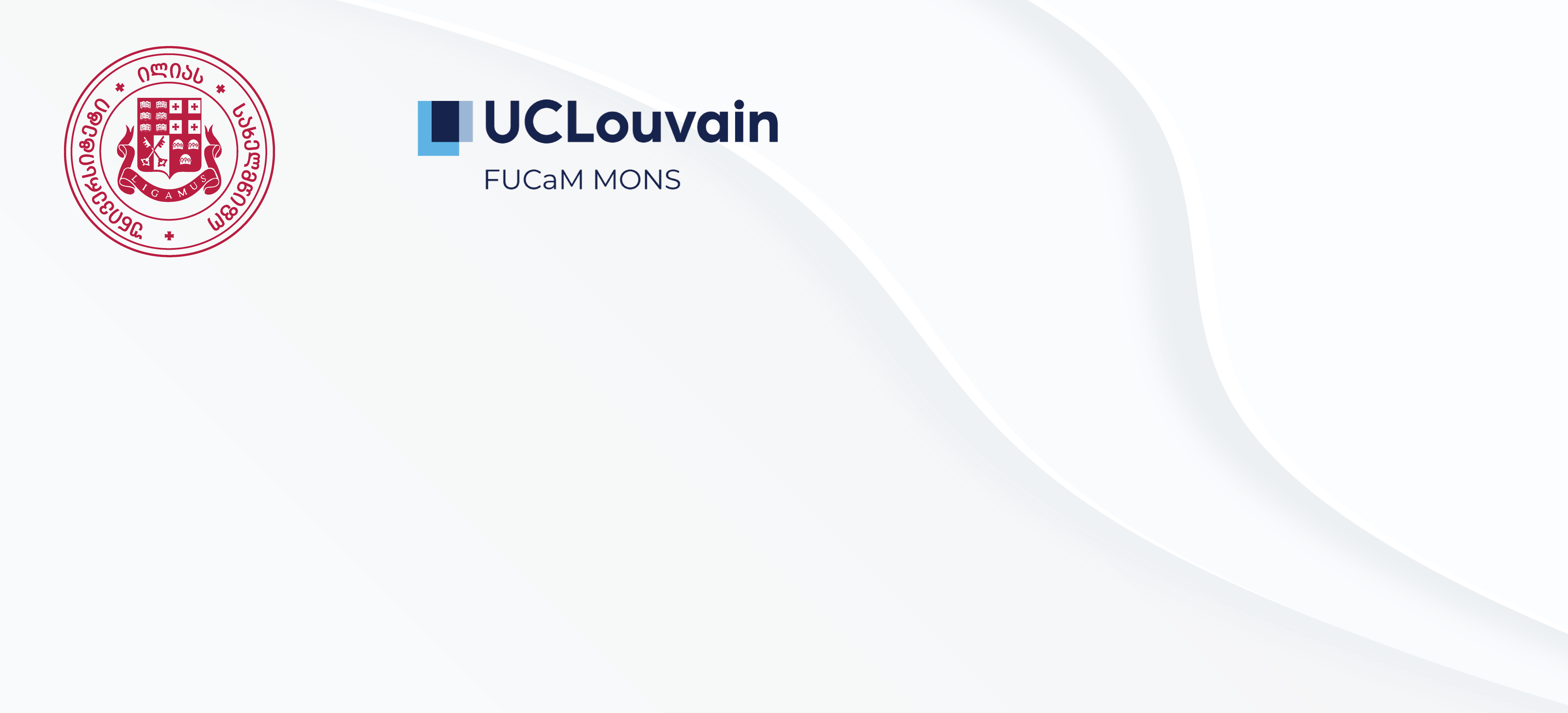 ლუვენის უნივერსიტეტის აღმოსავლეთმცოდნეობის ინსტიტუტის ემერიტუს-პროფესორის, დოქტორ ანდრეა შმიდტის მხარდაჭერის წერილი