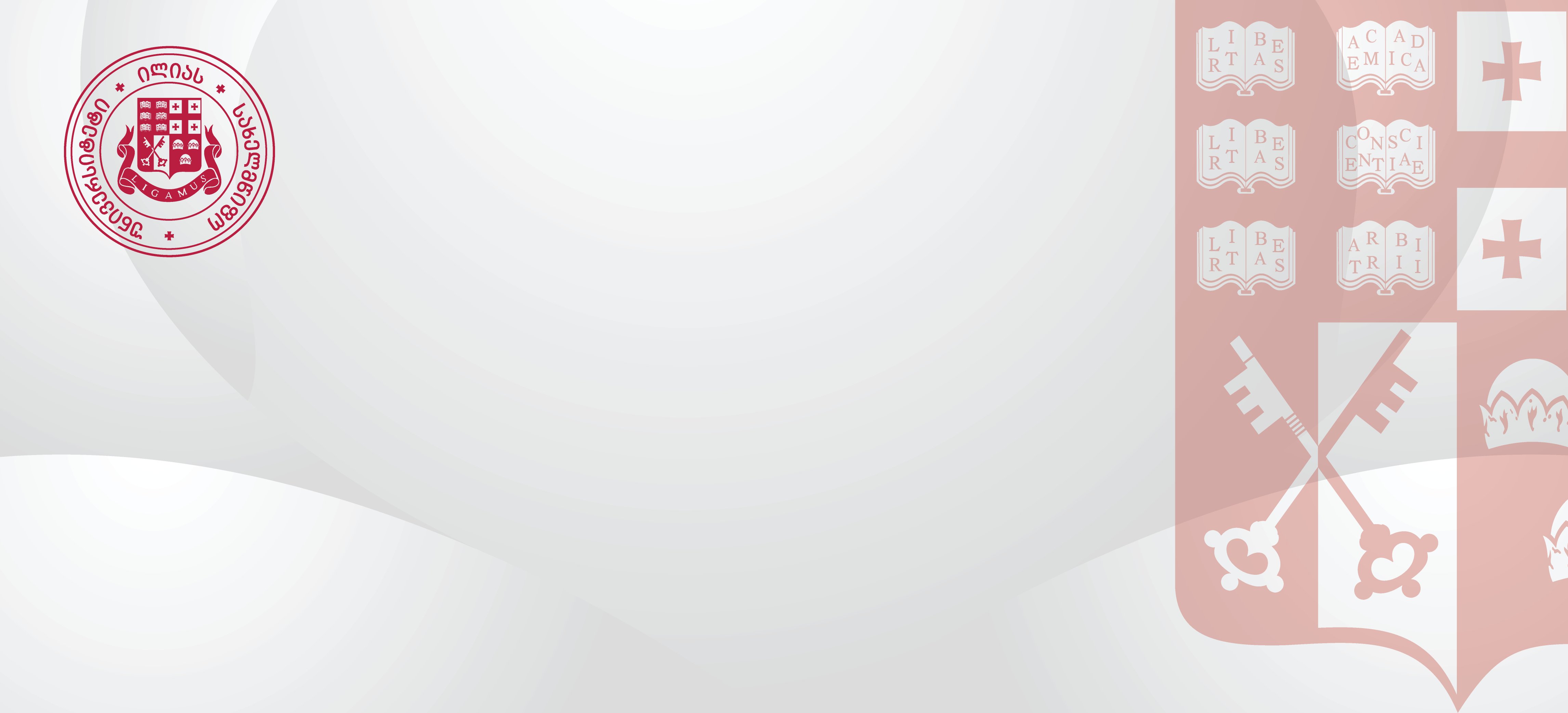 ილიას სახელმწიფო უნივერსიტეტის სტუდენტური თვითმმართველობის არჩევნებისათვის სადამკვირვებლო ორგანიზაციების რეგისტრაცია