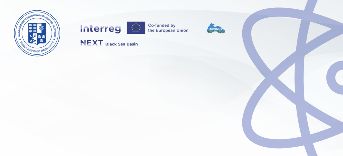 EfxINNOs and European Maritime Day at Ilia State University
